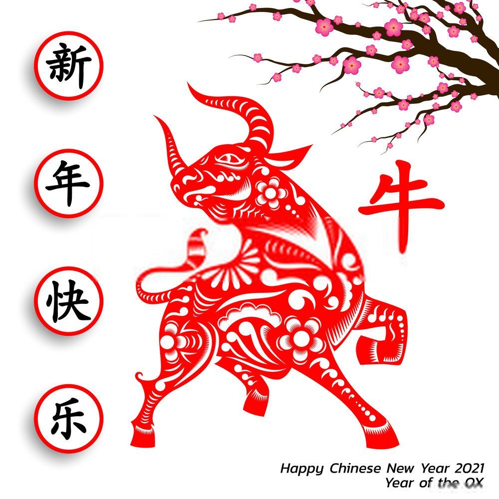 Bull 2021 Image. Year of Ox Wallpaper .com