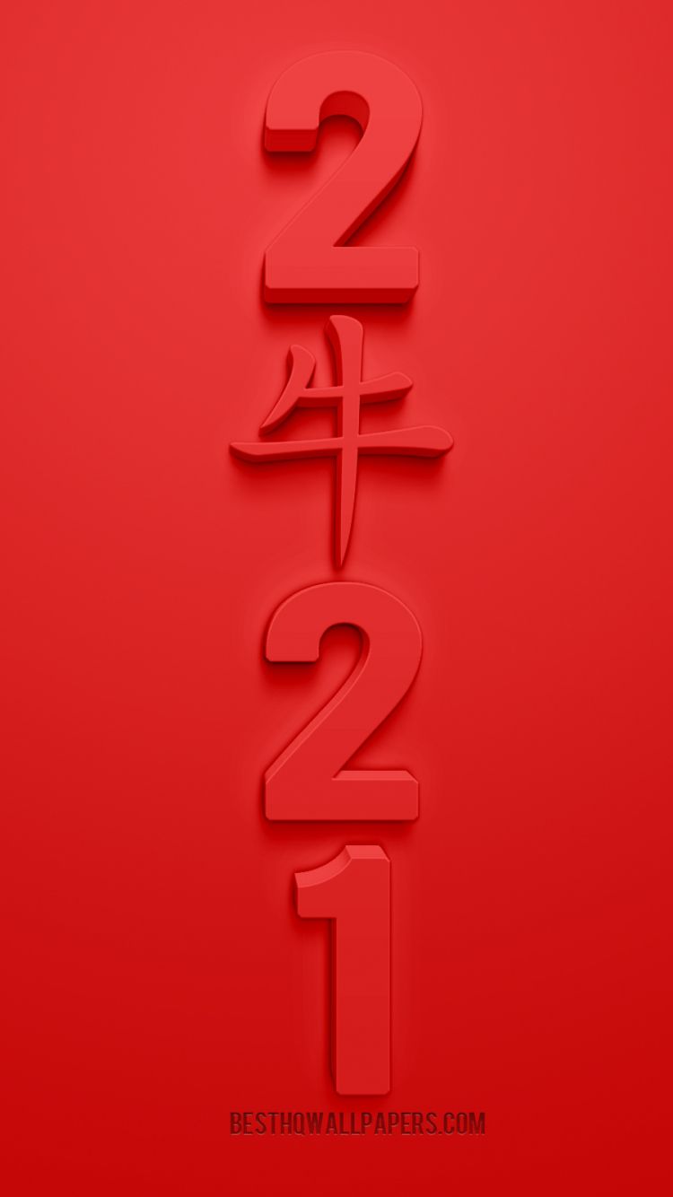 Year 2021 Ox 2560x1600 .wallpaperafari.com