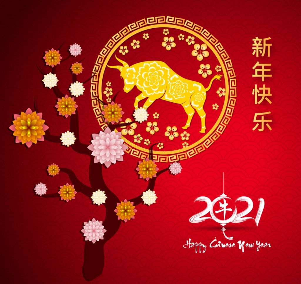 Year of Bull 2021 Image and Wallpaper .com