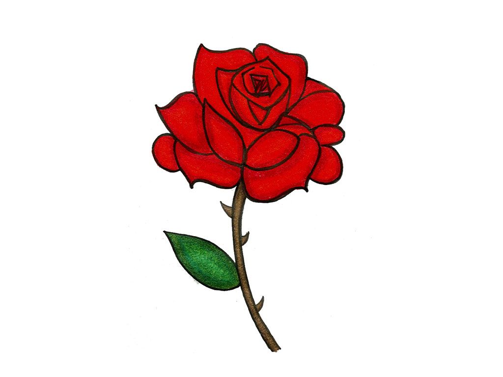 Free Rose Cartoon Picture