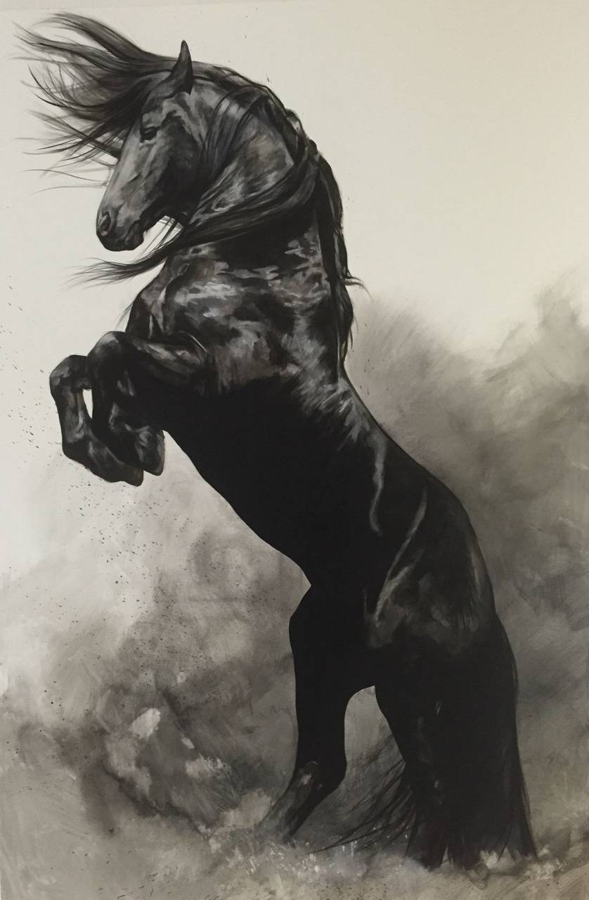 Black Horse wallpaper