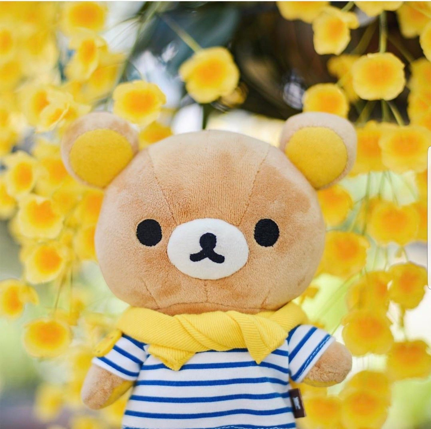 Cute plush, Cute stuffed animals.com