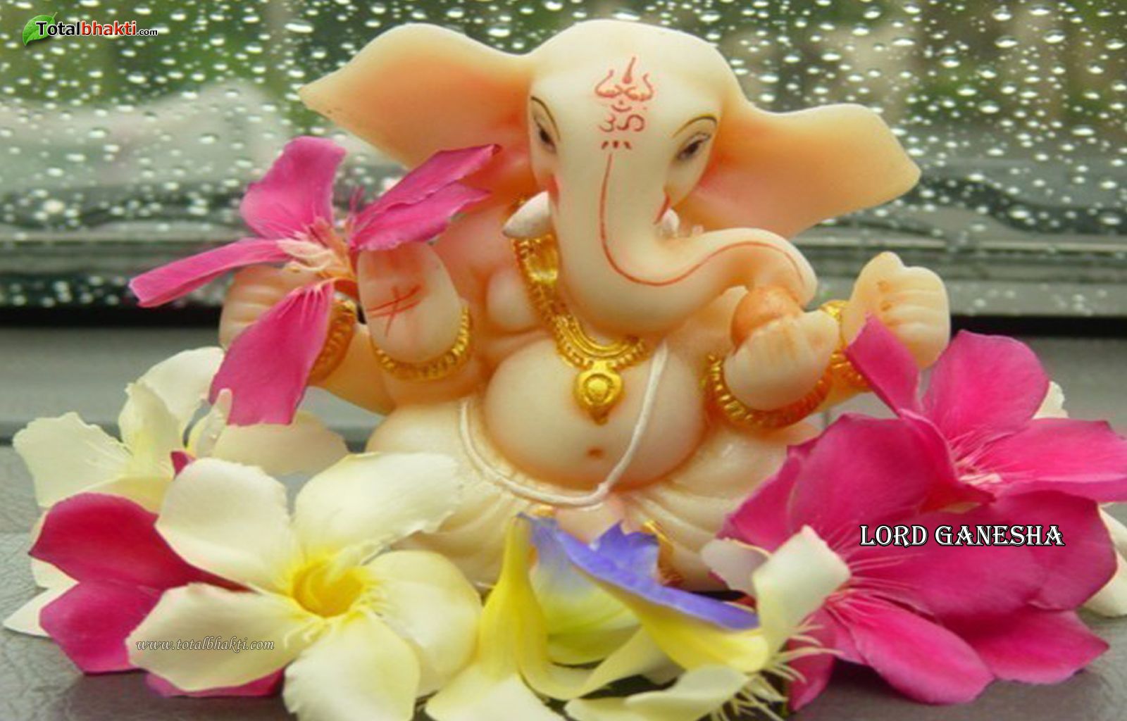 cute ganesha wallpaper for laptop