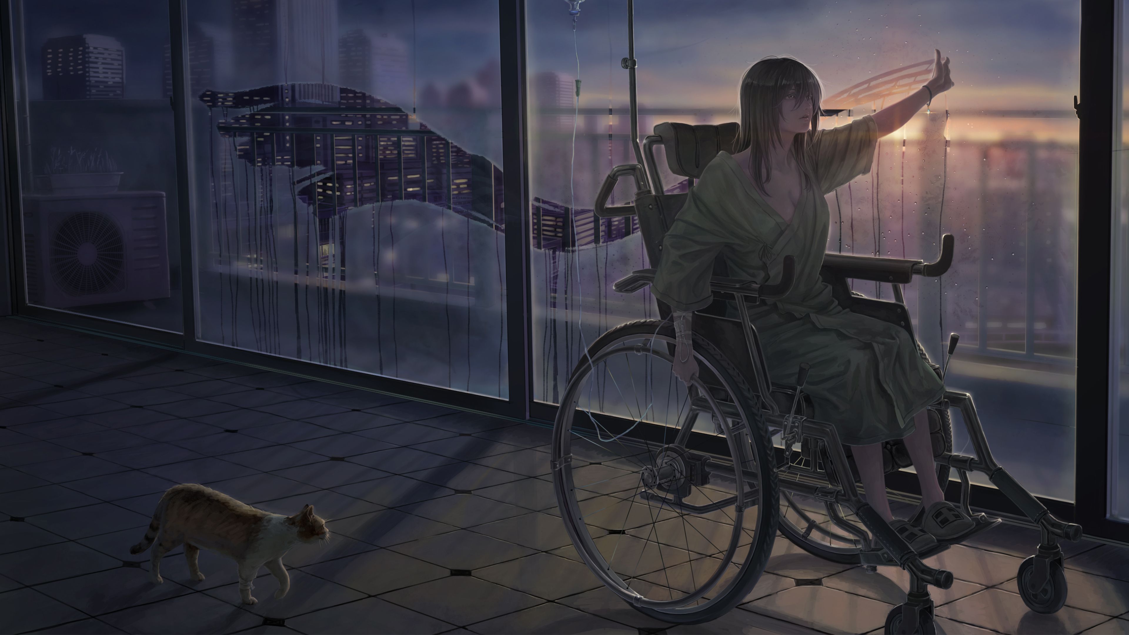 Anime, Wheelchair, Cat, Girl Wallpaper .itl.cat