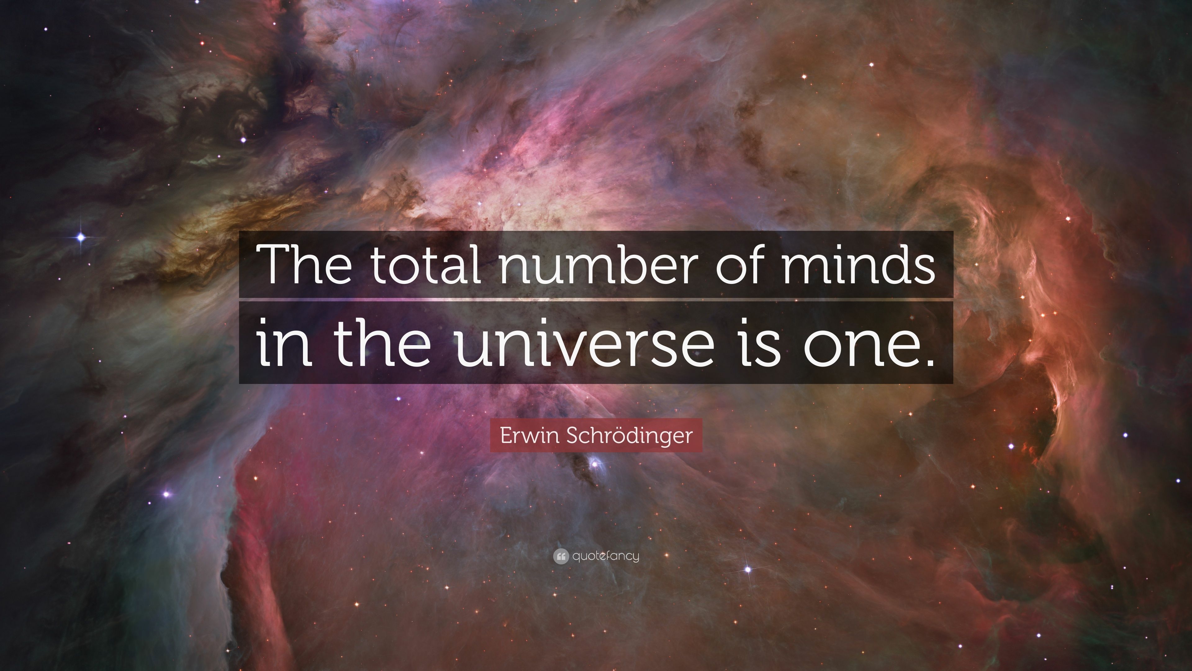Erwin Schrödinger Quotes .quotefancy.com