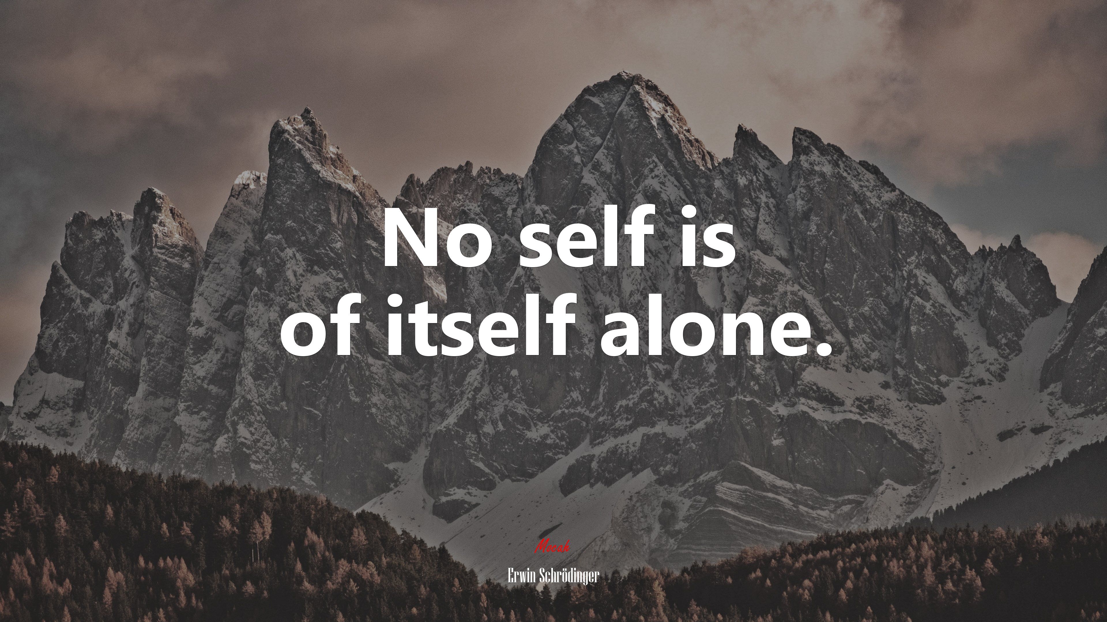 quote HD wallpaper, Backgroundmocah.org