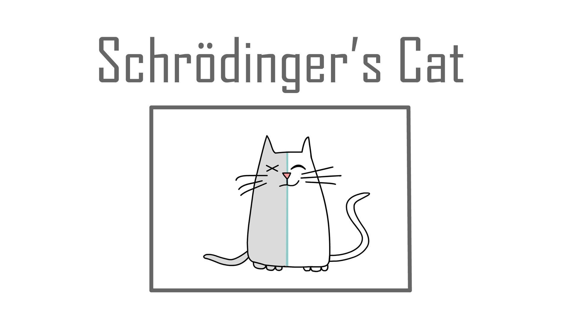 Schrödinger's Cat Wallpaper Free .wallpaperaccess.com