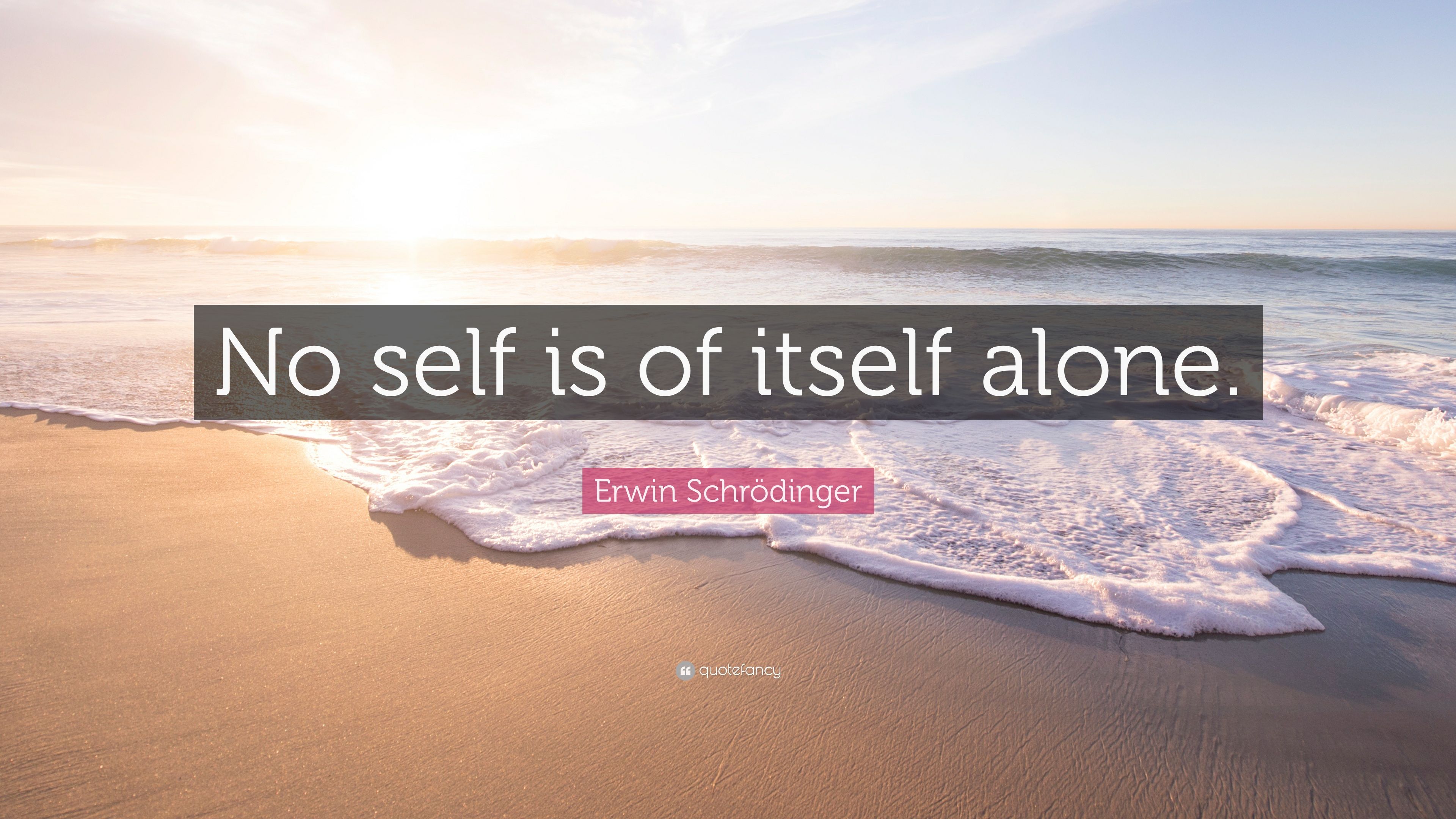 Quote: “No self is of itself alone .quotefancy.com