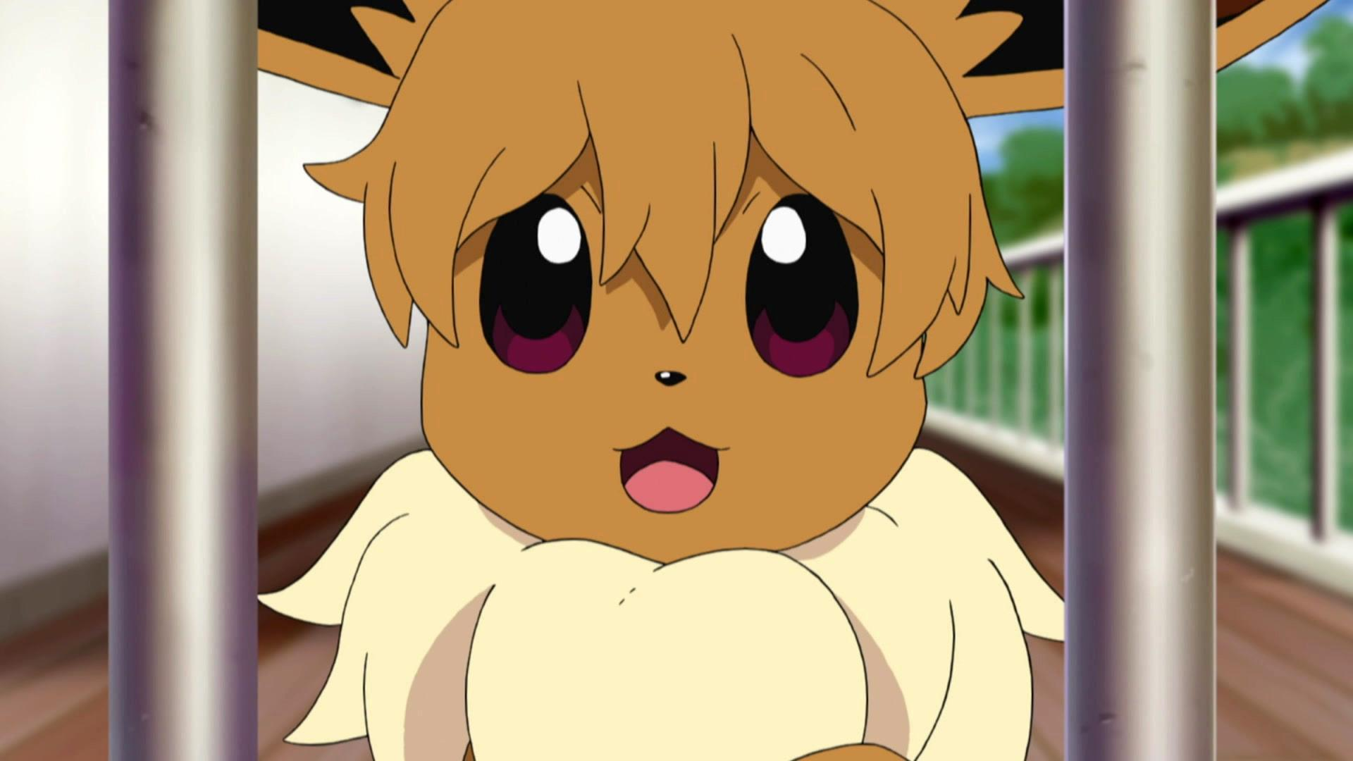 Pokemon Sun And Moon Ultra Legends .walpaperlist.com