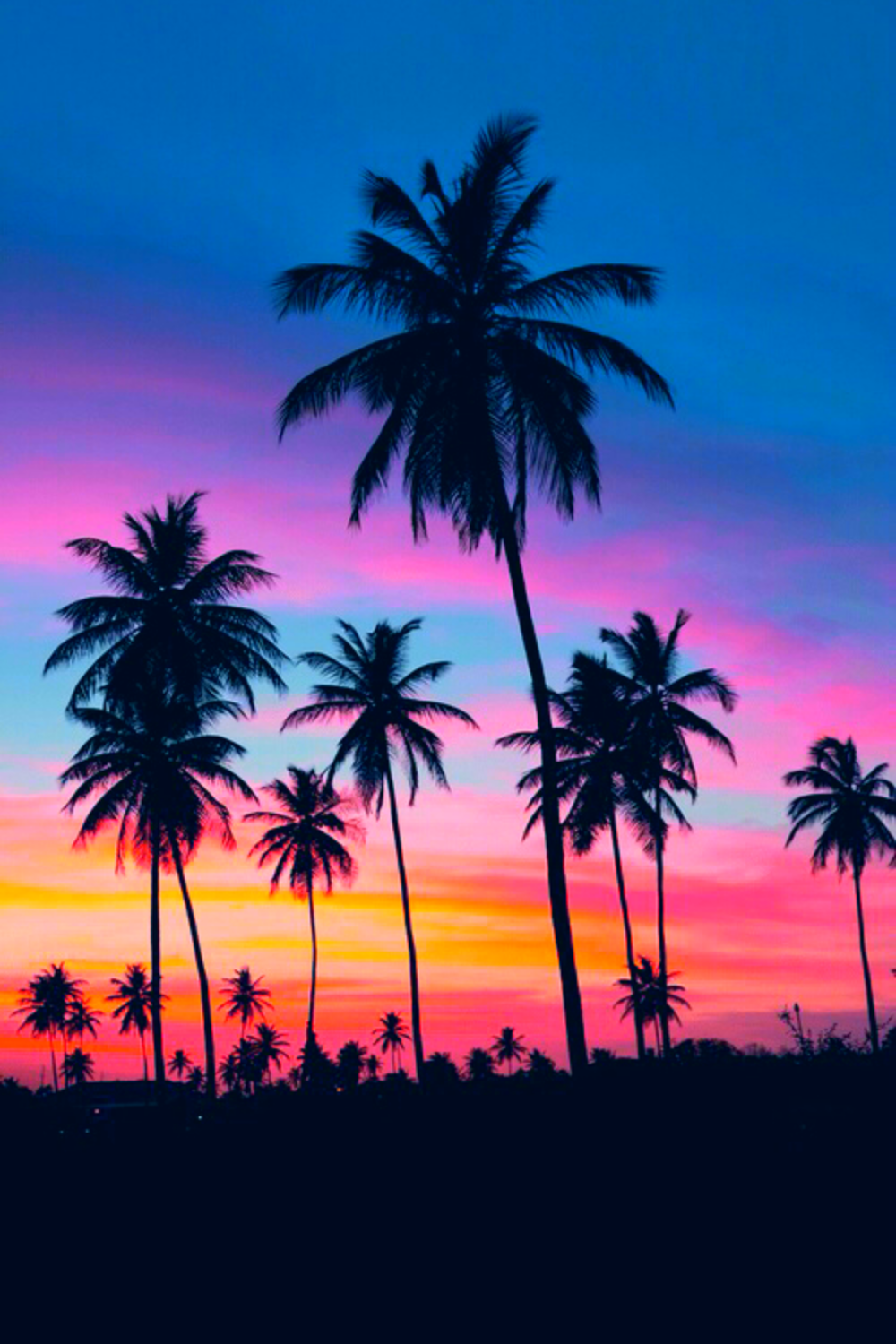 Palm trees wallpaper, Palm tree sunset .com
