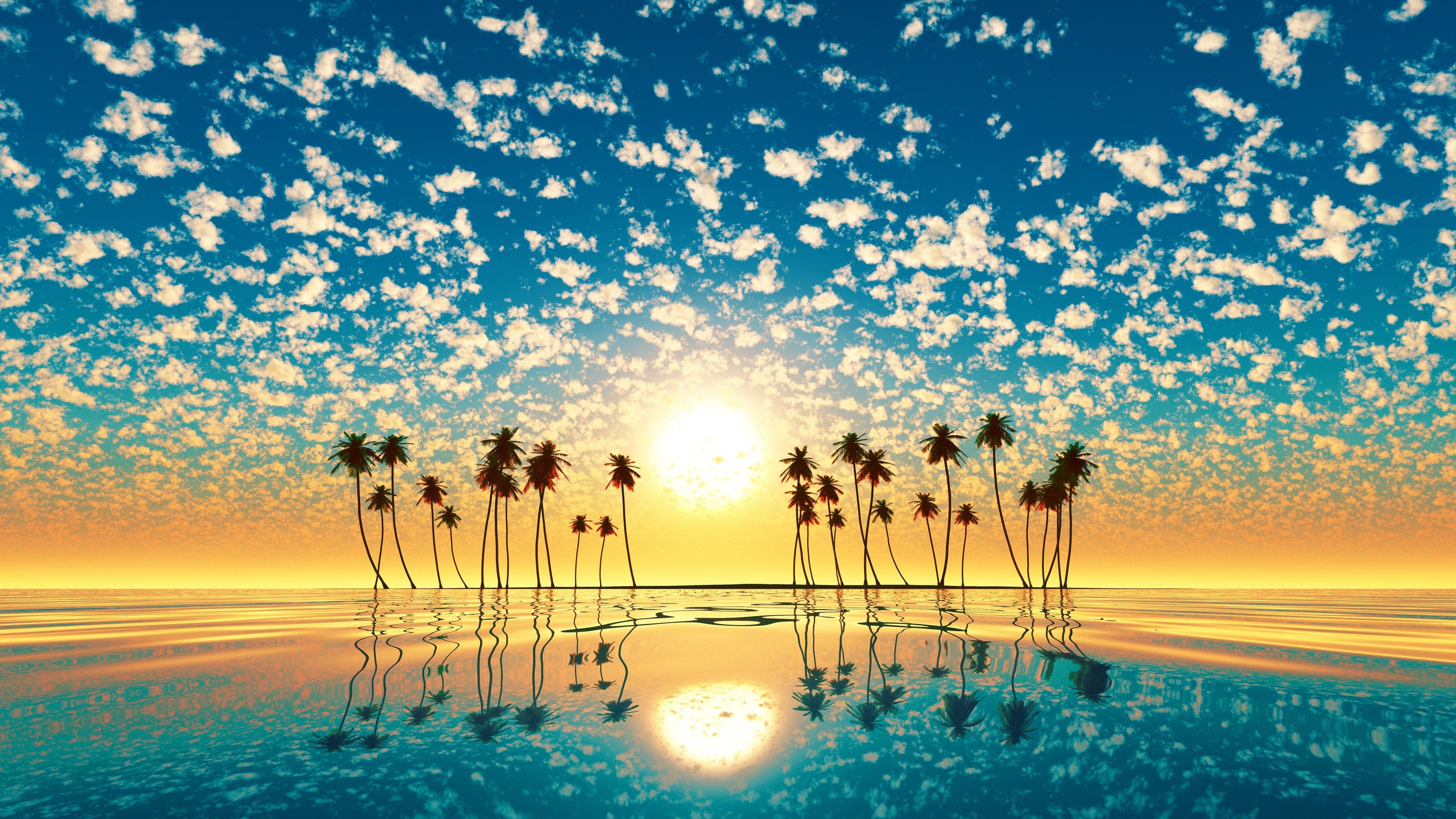 Palm Beach Sunset Wallpaper 4K .line.17qq.com