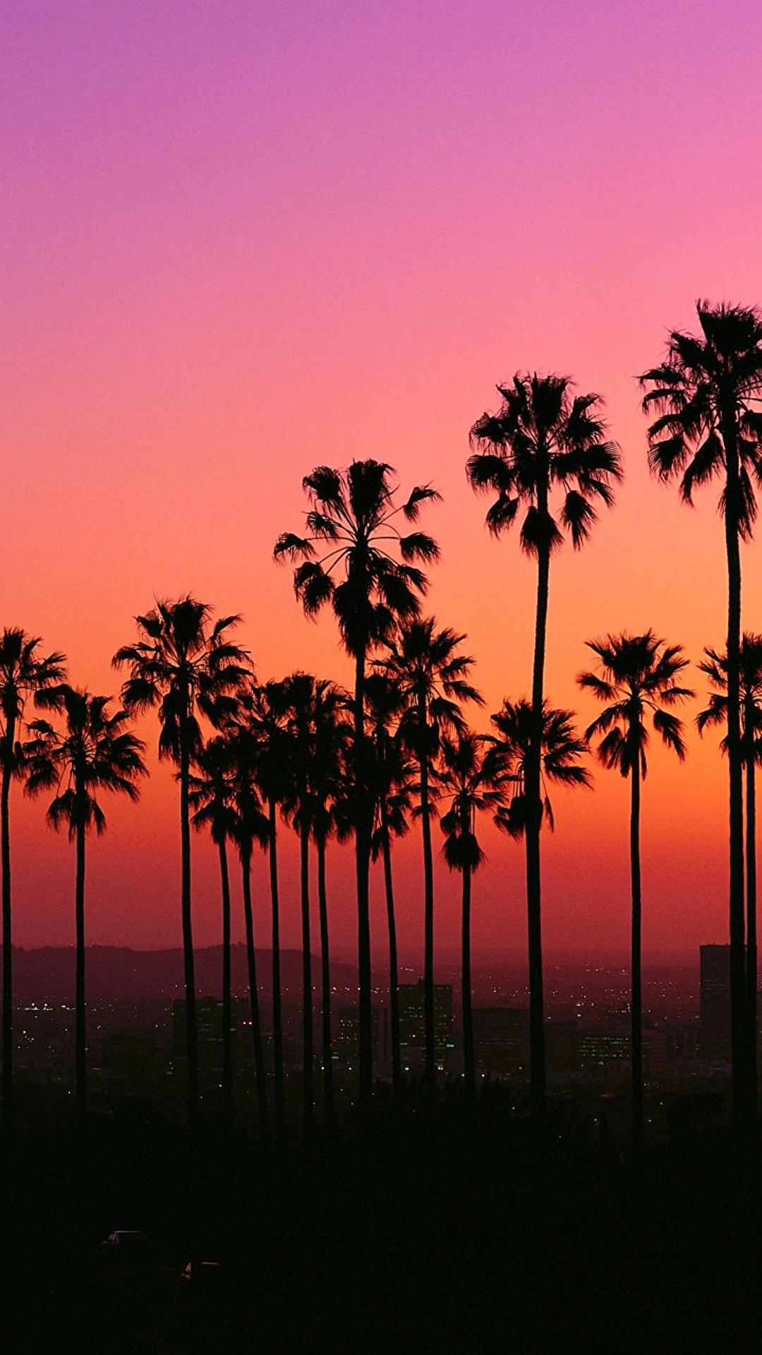 Los Angeles sunset with palm trees .reddit.com