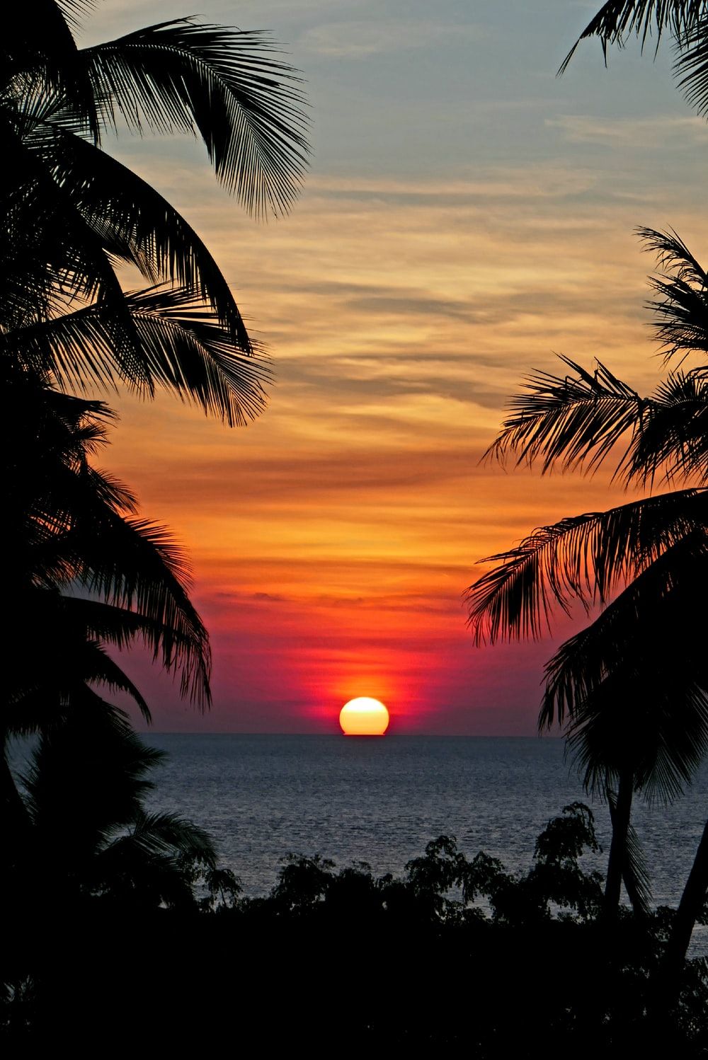 Stunning Tropical Sunset Picture HD .com
