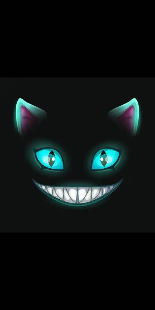 Evil kitty wallpaper by mikethorp247 .zedge.net