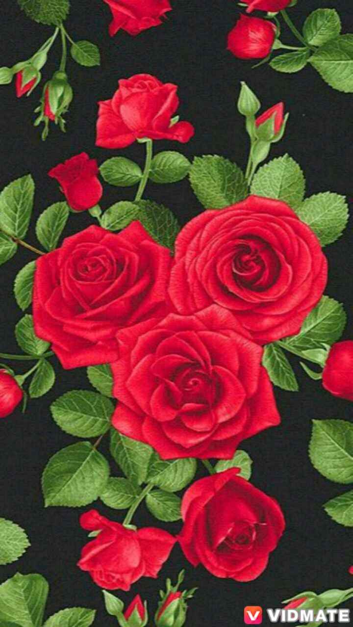 Timeless Treasures Red Roses .itl.cat