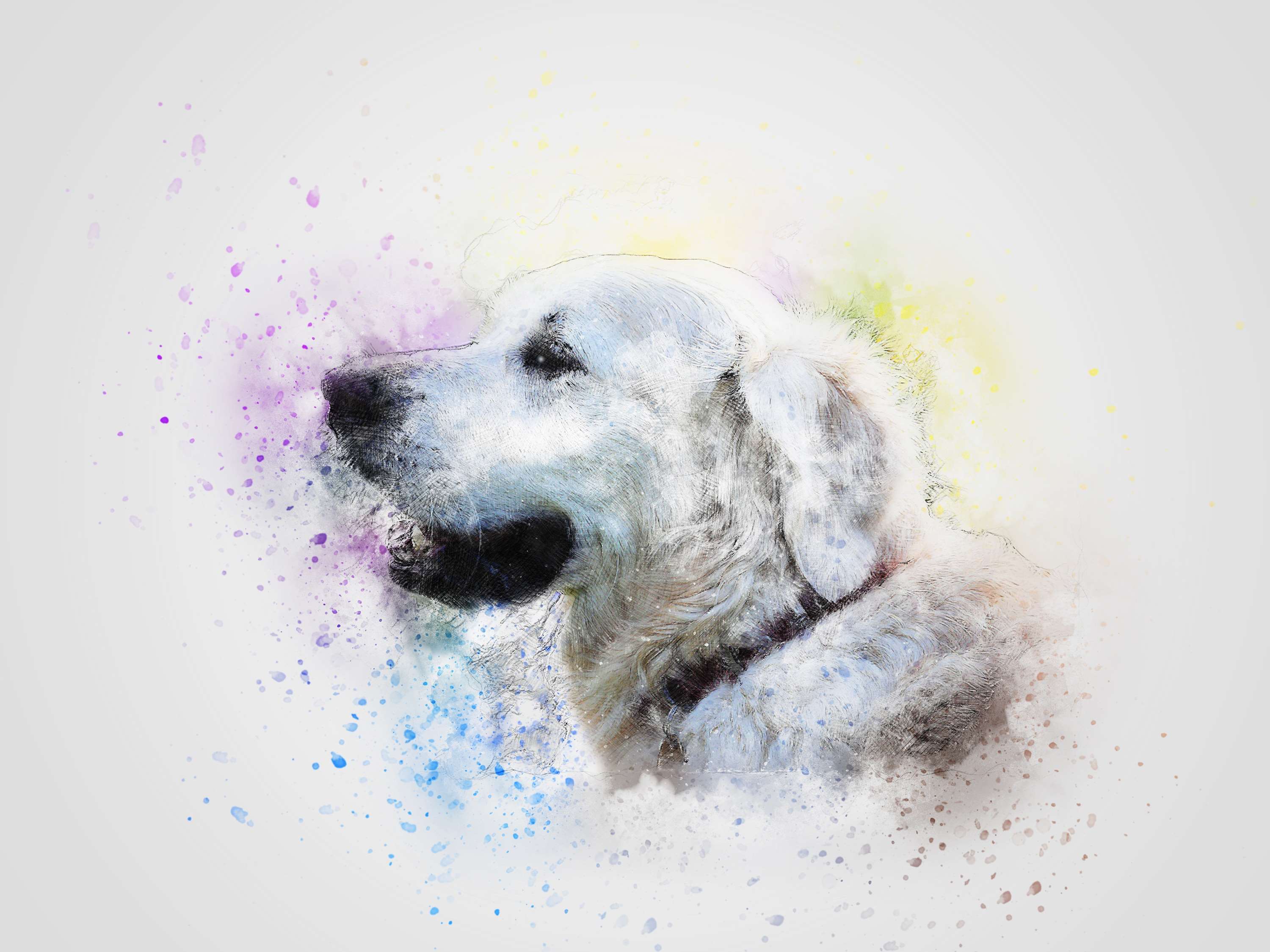 Inspirasi Terkini Cute Dog Art Wallpaper, Wallpaper Cute