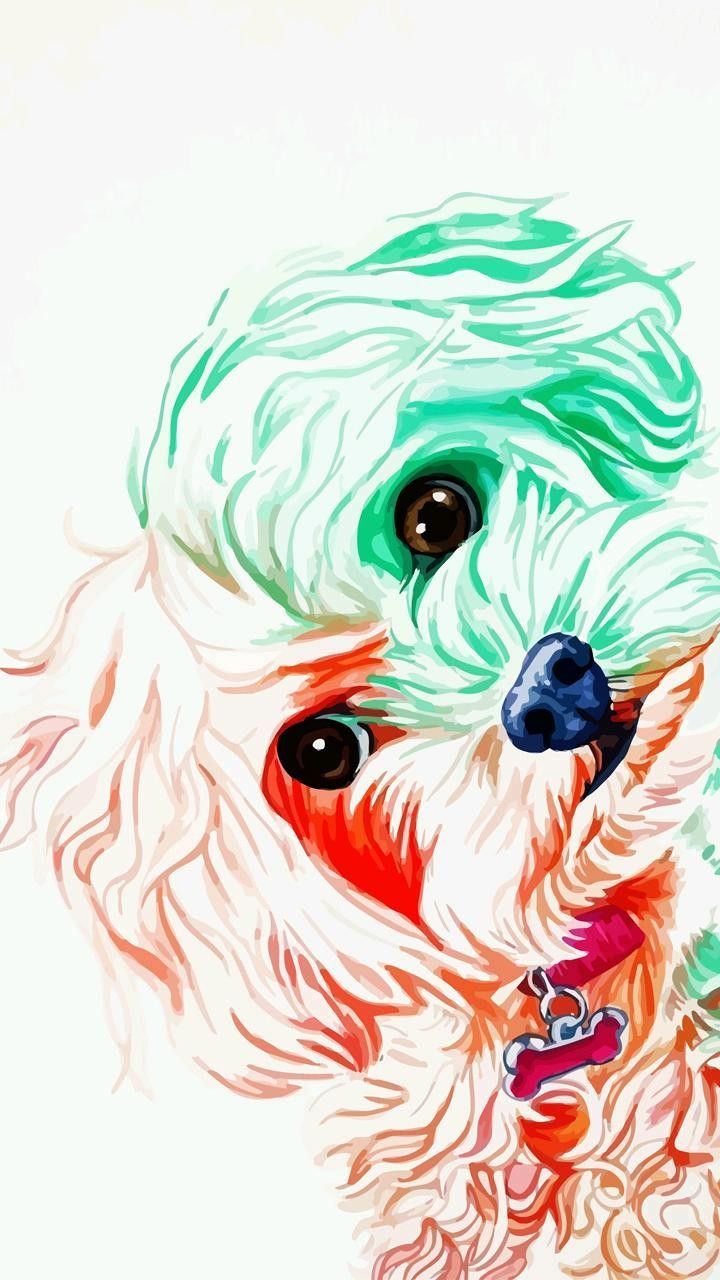 Dog paintings, Dog art, Dog drawing.com