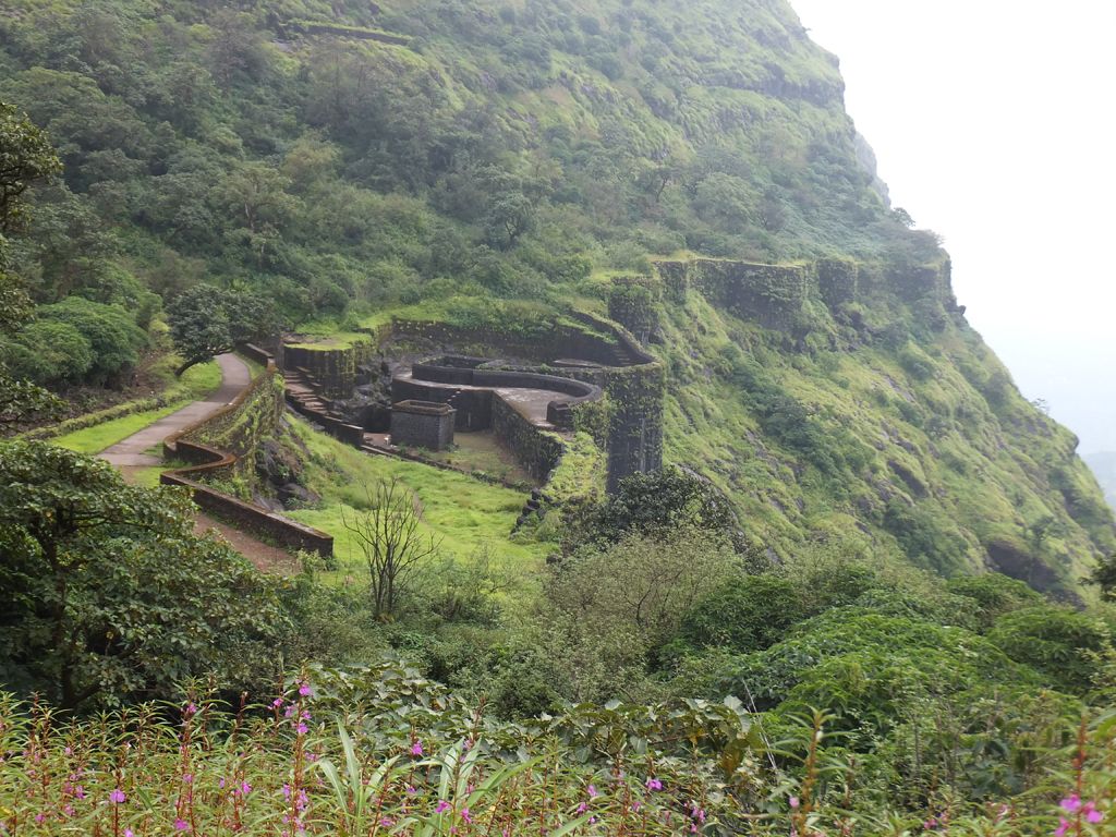 lush green valleys Travelleroutlookindia.com