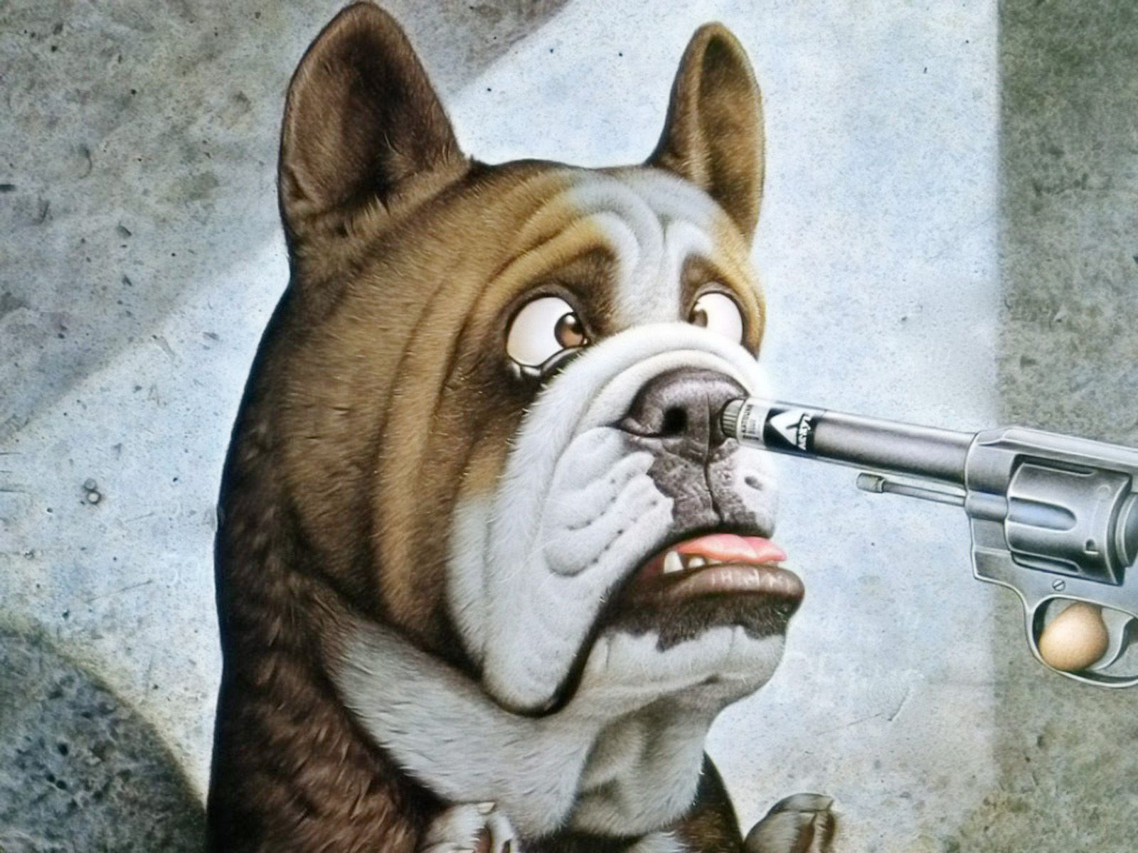 Funny Dog Wallpaper HDpixelstalk.net