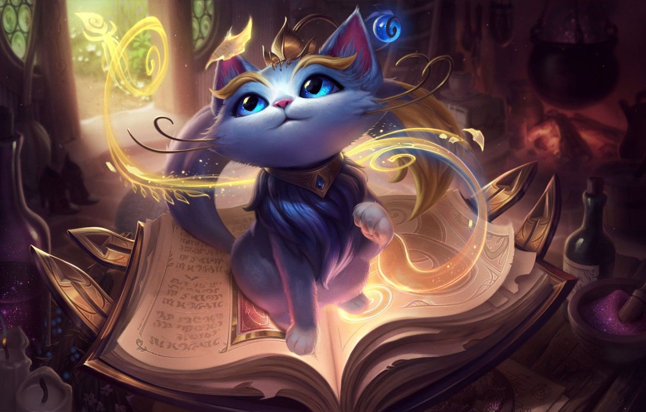 Wallpaper fantasy, game, magic, cat .goodfon.com