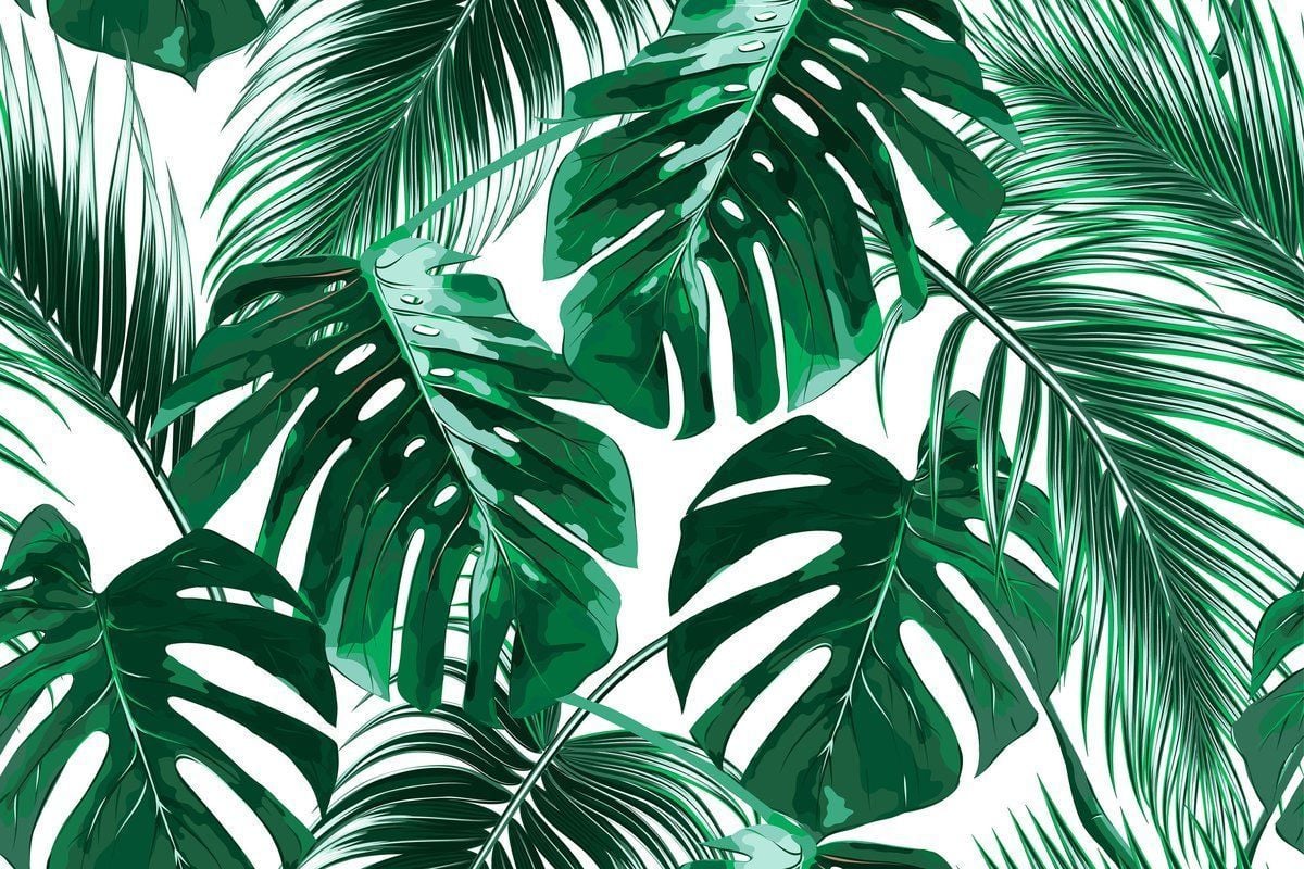 Aesthetic Palm Leaves Wallpaper .wallpaperaccess.com