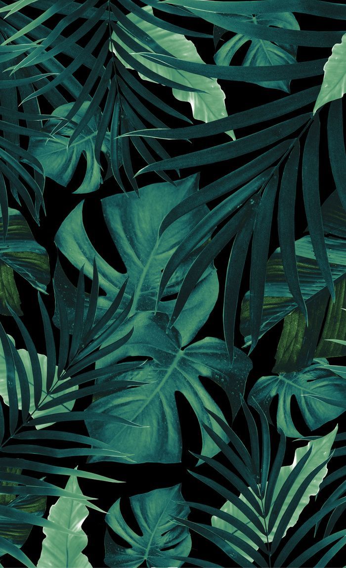 Tropical Jungle Night Leaves Pattern .com