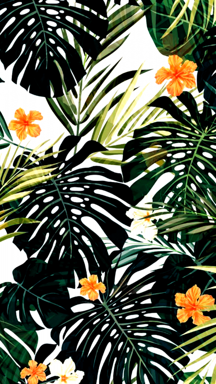 Tropical Aesthetic Wallpaper  KIINOO