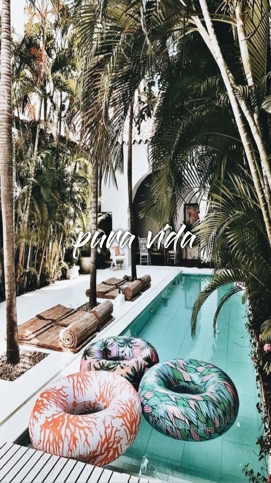 summer #puravida #aesthetic #tropical .com