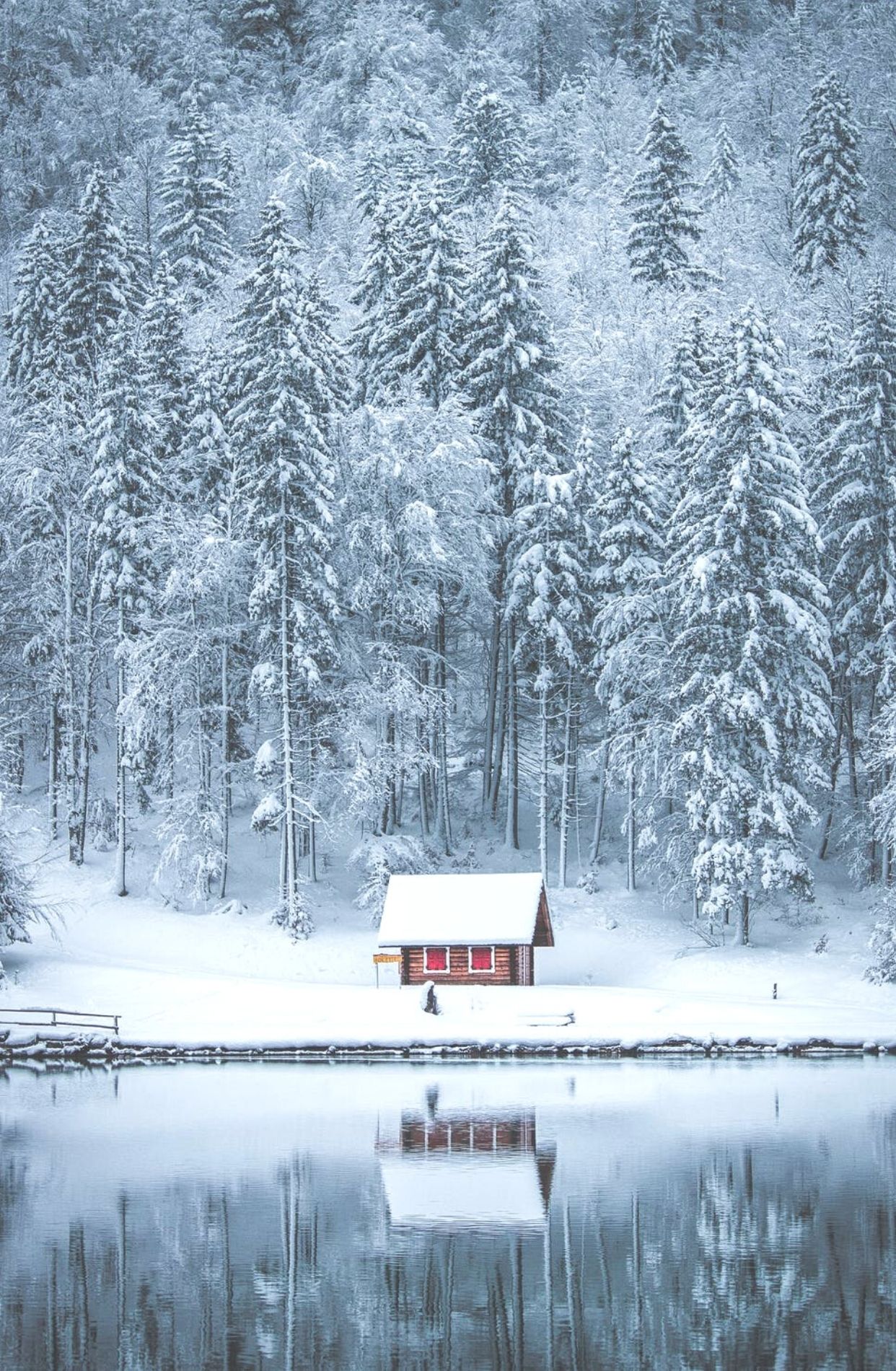 Beautiful Winter Wallpaper For iPhone .chicpursuit.com
