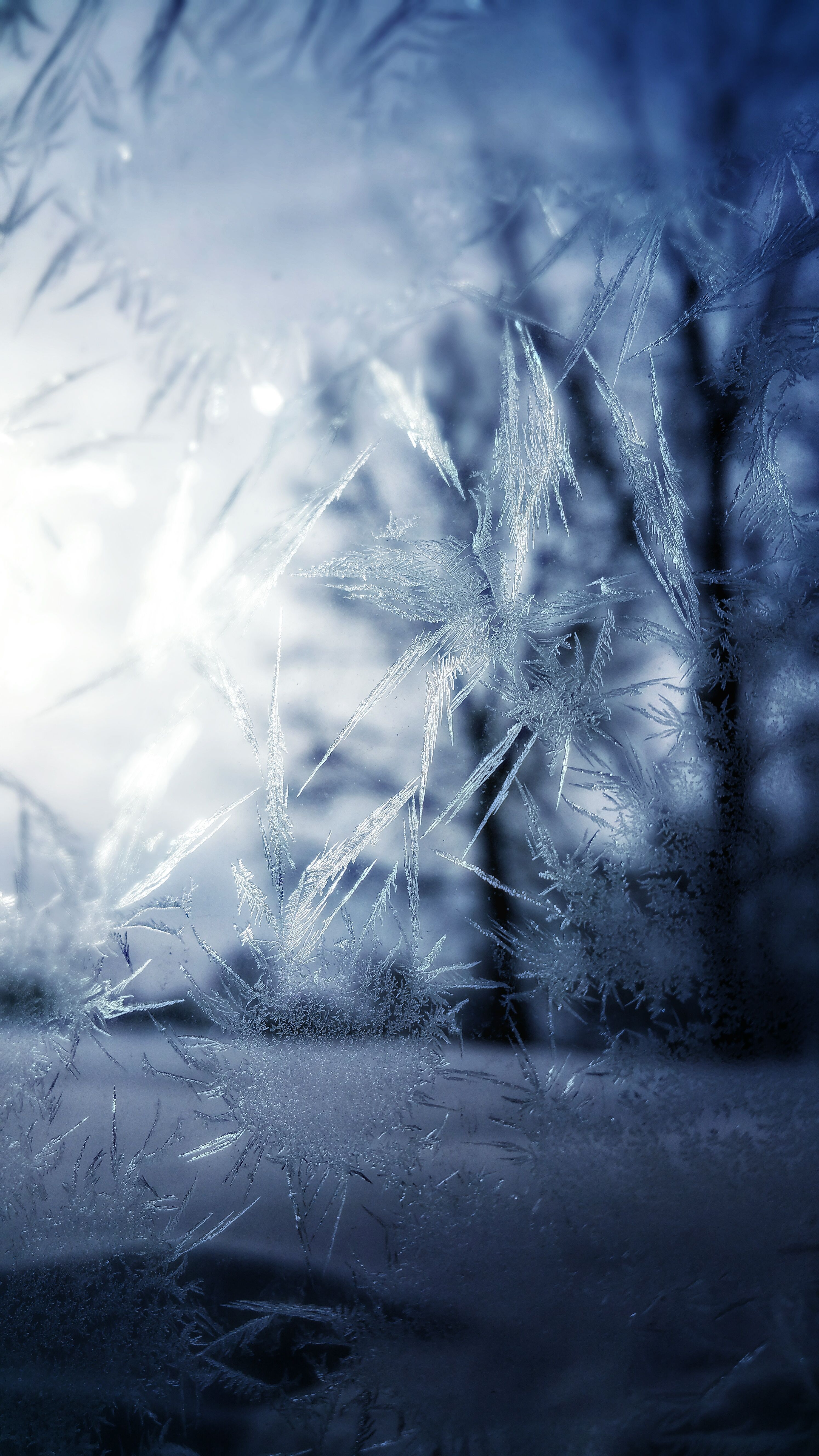 Winter Phone Wallpaper Free .wallpaperaccess.com