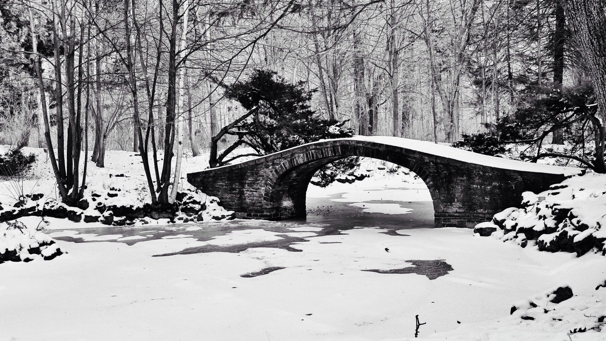 4k Bridge In The Winter Forest Wallpaper For Desktop HD Wallpaper