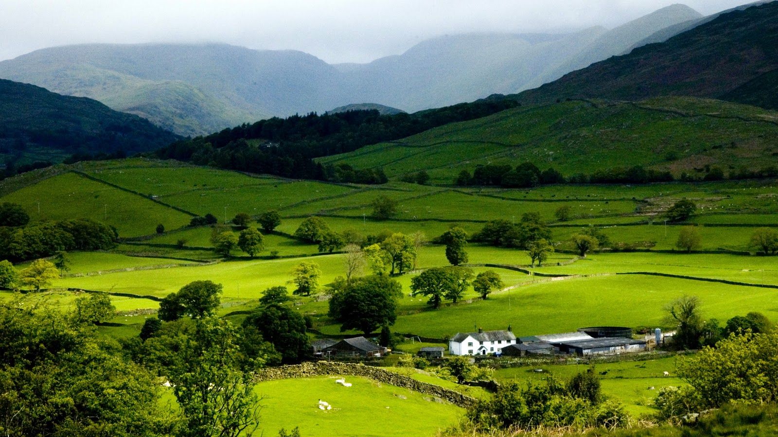 Idukki Wallpapers - Wallpaper Cave