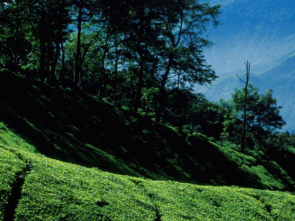 Idukki Wallpapers - Wallpaper Cave