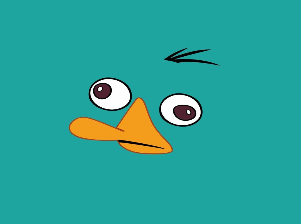 Perry The Platypus Wallpaper .hipwallpaper.com