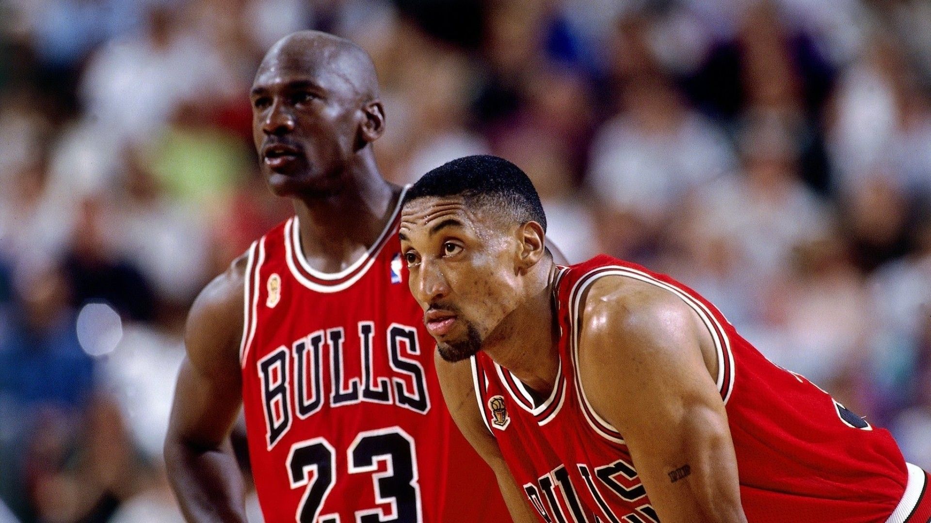Michael Jordan Wallpaper 1920X1080 82 .pavbca.com