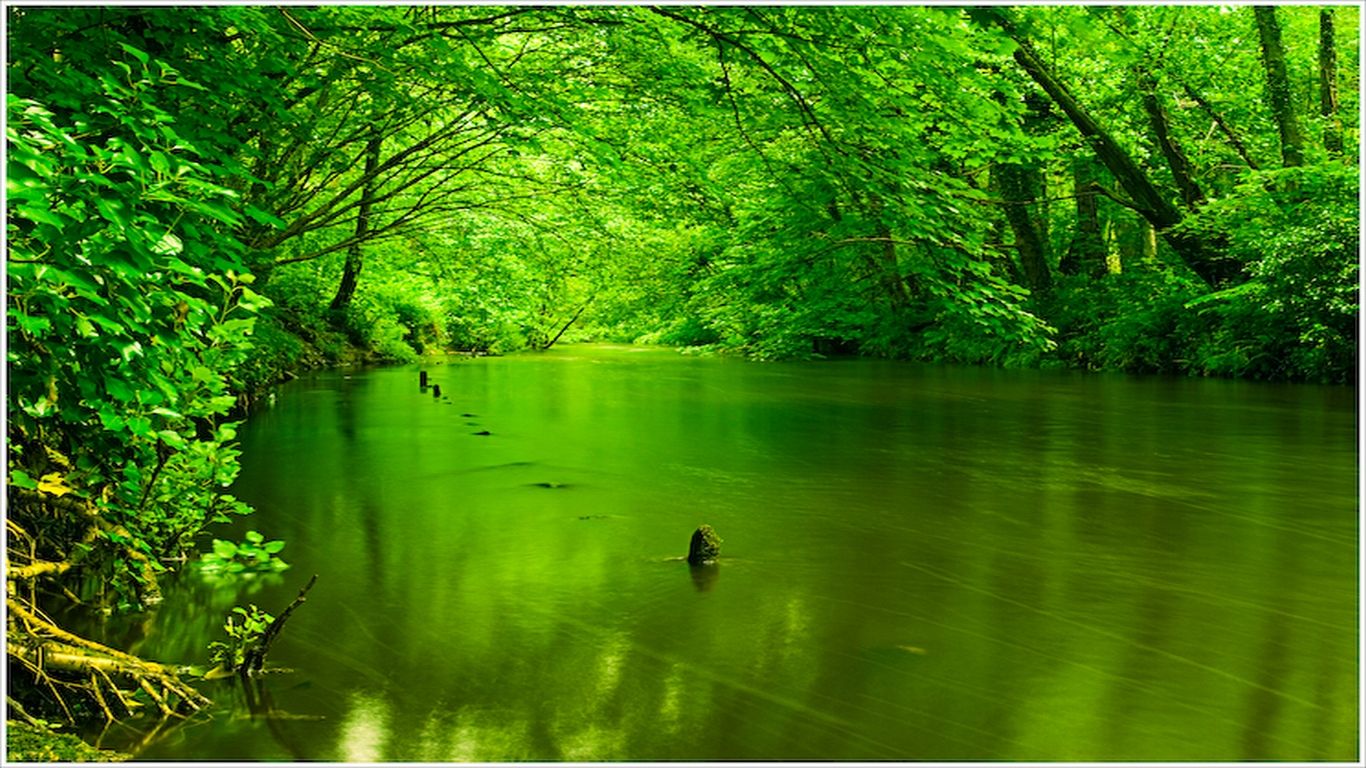 Green Stream Nature Wallpaper Nature Desktop Background