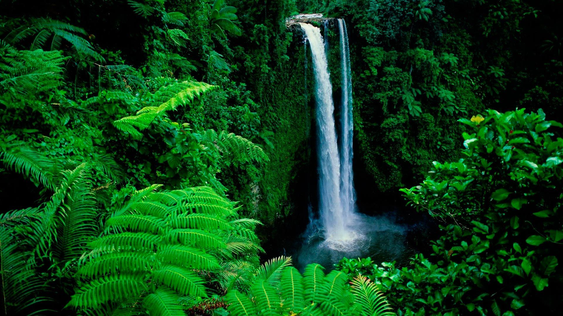 Desktop Green Nature Wallpapers - Wallpaper Cave