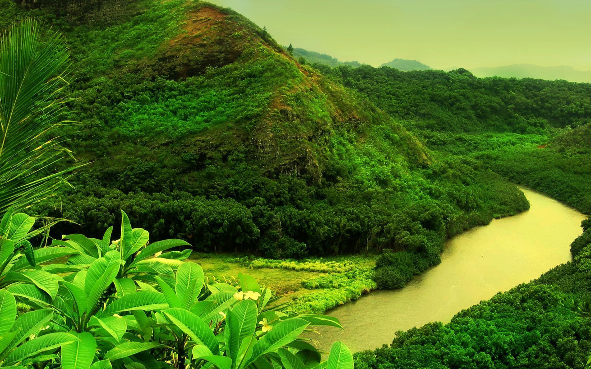 Desktop Green Nature Wallpapers - Wallpaper Cave