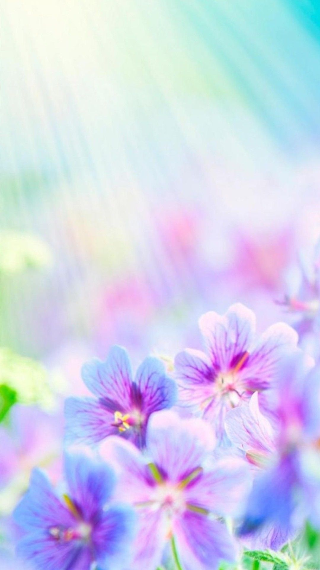 Flower Wallpaper Android