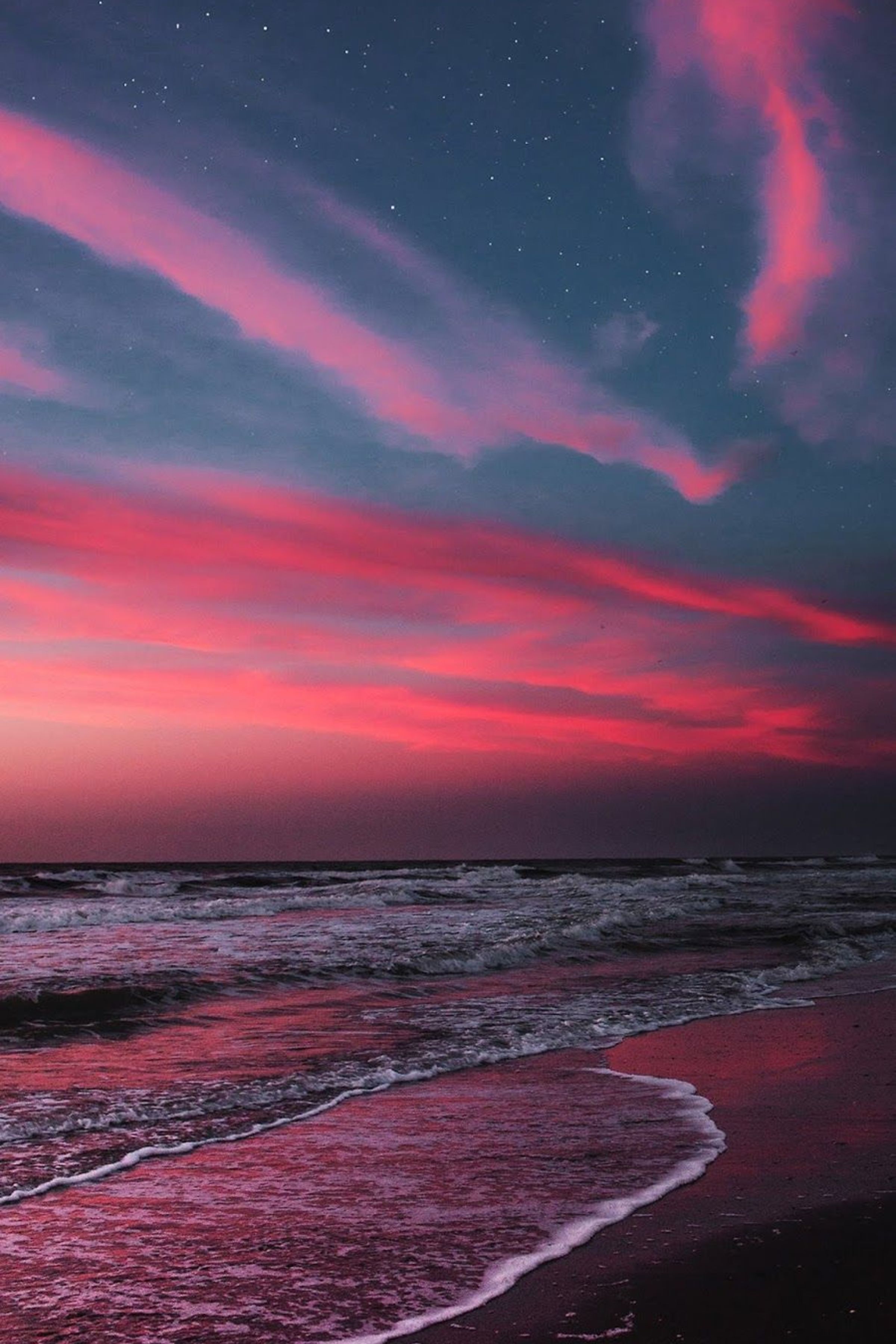 ENJOY THE PALM LIFE.COM .ar.com