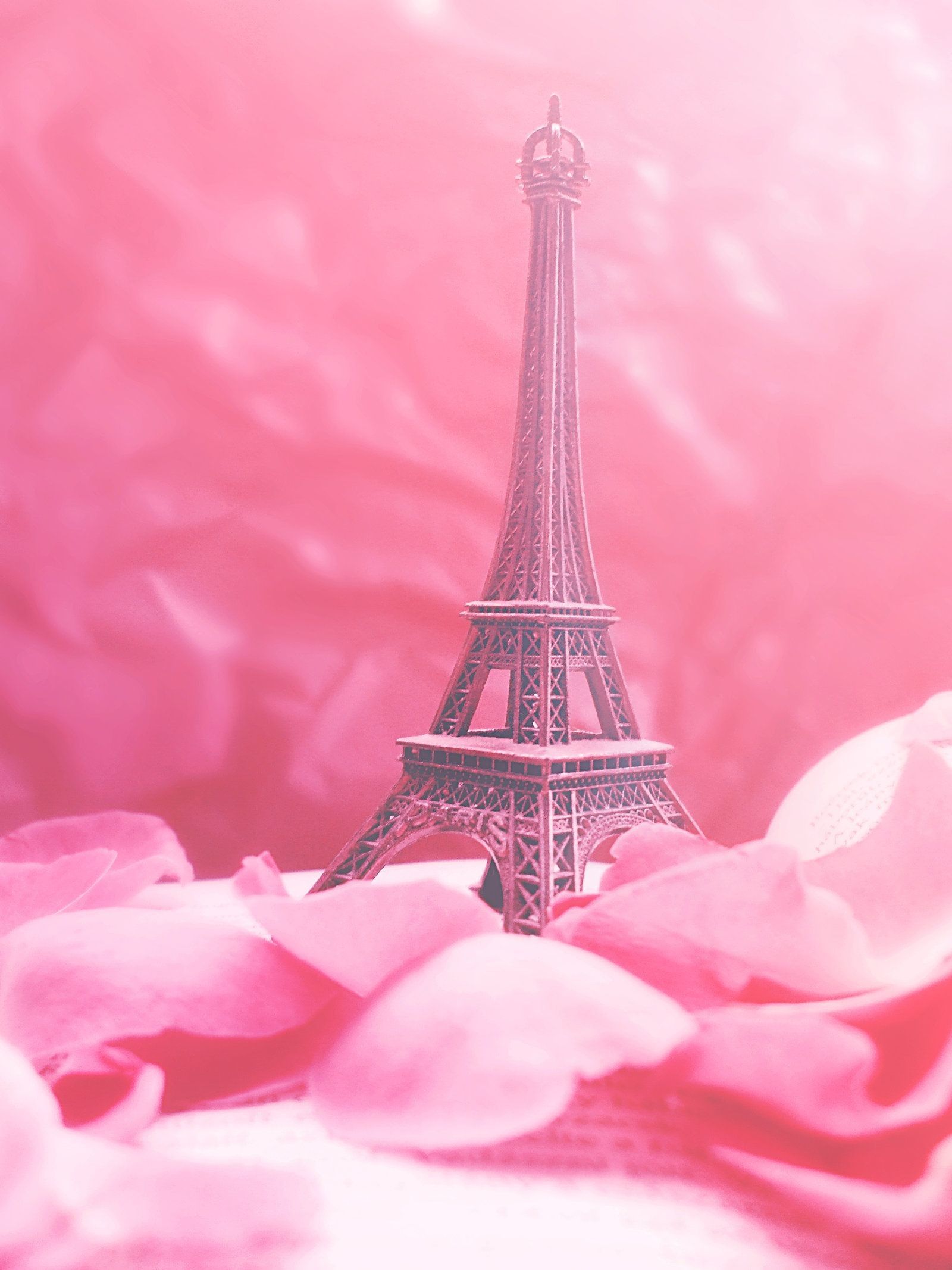 Rose Gold Girly Cute Eiffel Tower Wallpaper