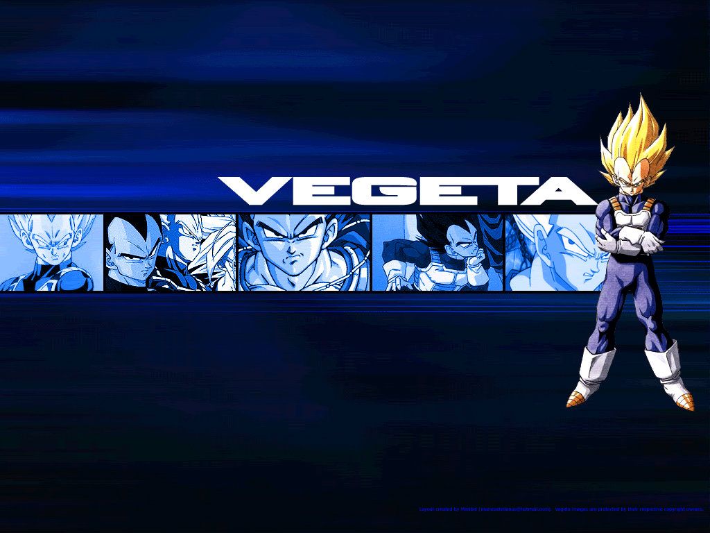 Prince Vegeta Wallpapers Wallpaper Cave