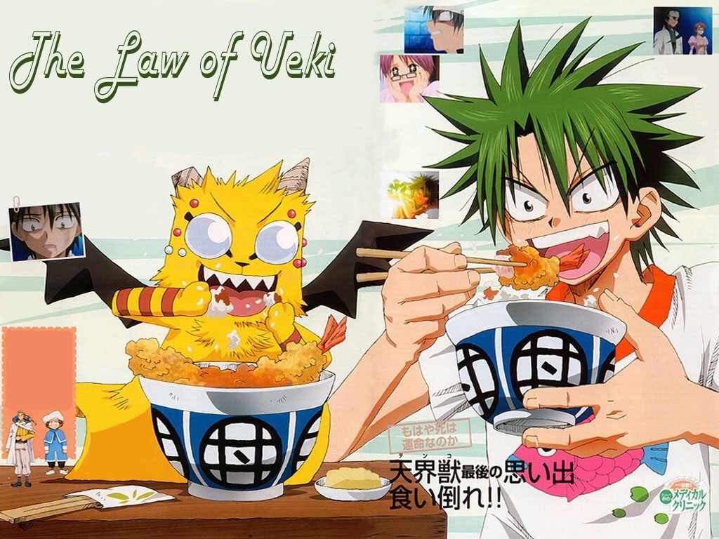 The law of ueki. Anime Aminoaminoapps.com