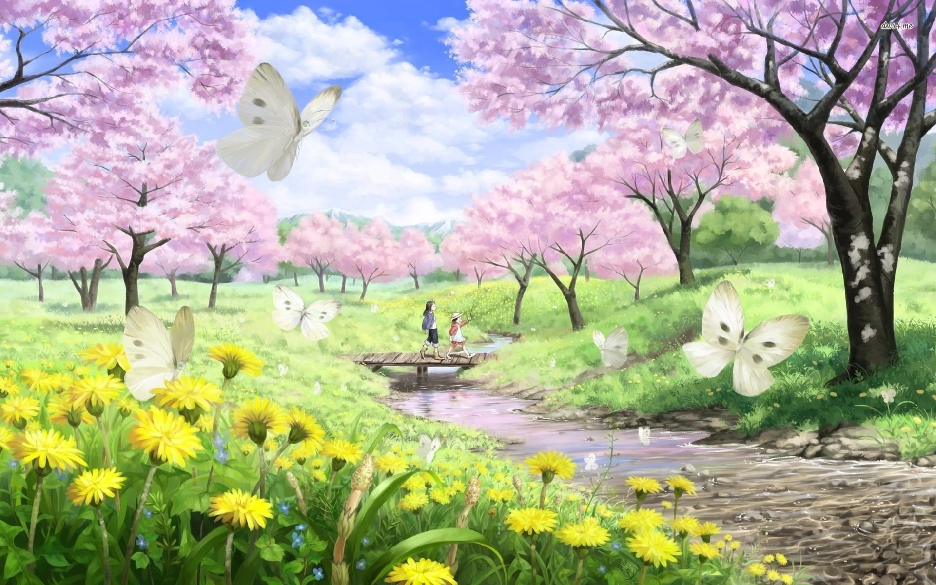 Cherry Blossoms Anime Scenery .ca