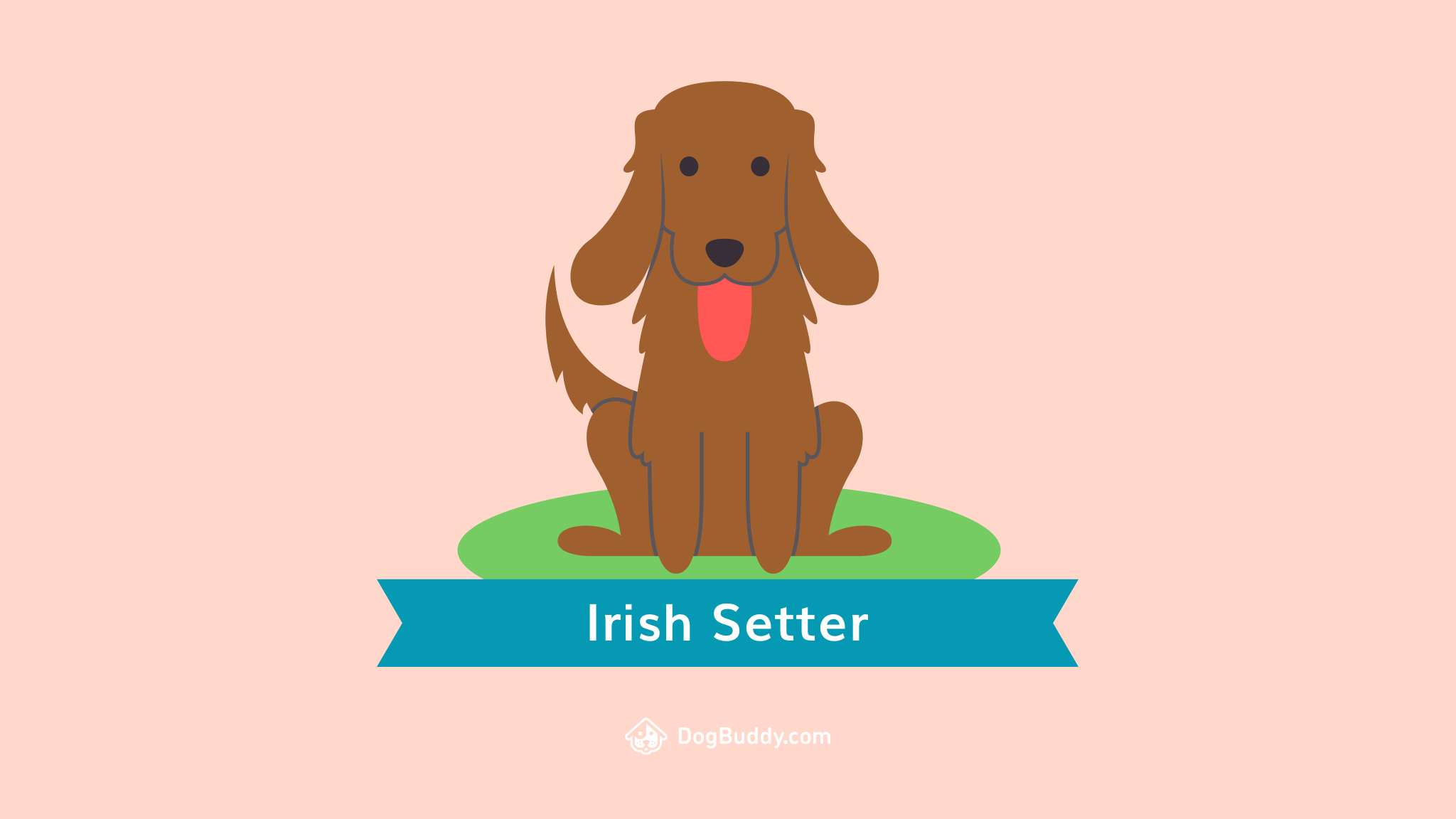 Woofpaper: Irish Setter Blogblog.dogbuddy.com