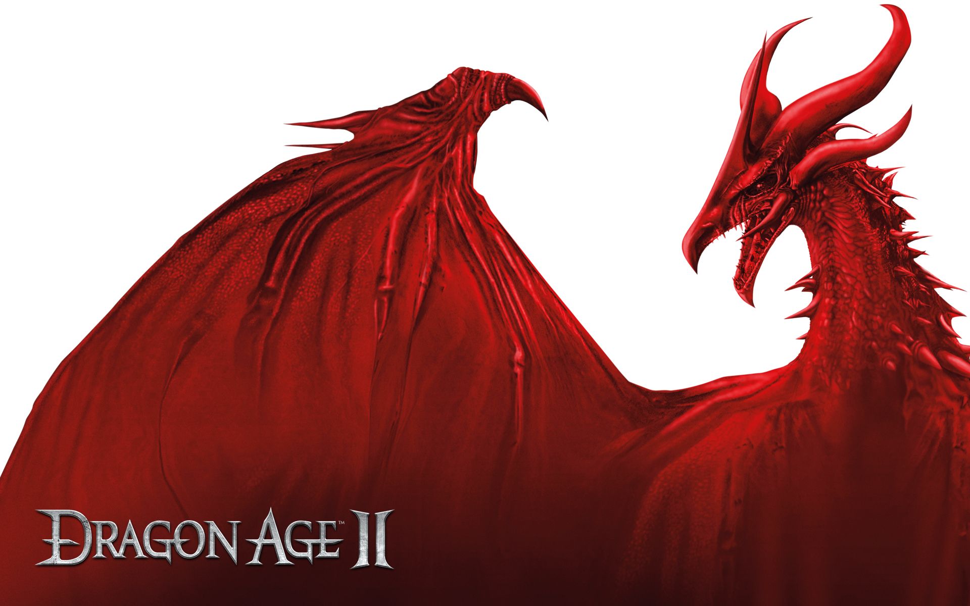 Dragon Age II Wallpaper 2jpg 1920x1200 .wallpaperafari.com