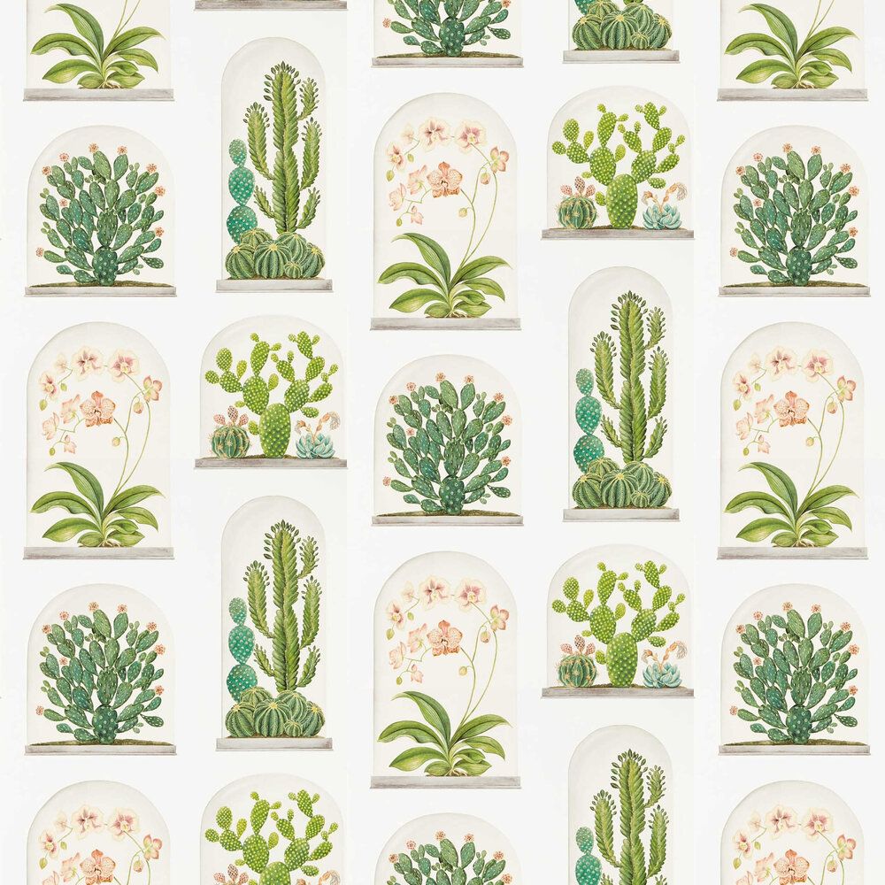 Terrarium Wallpapers - Wallpaper Cave