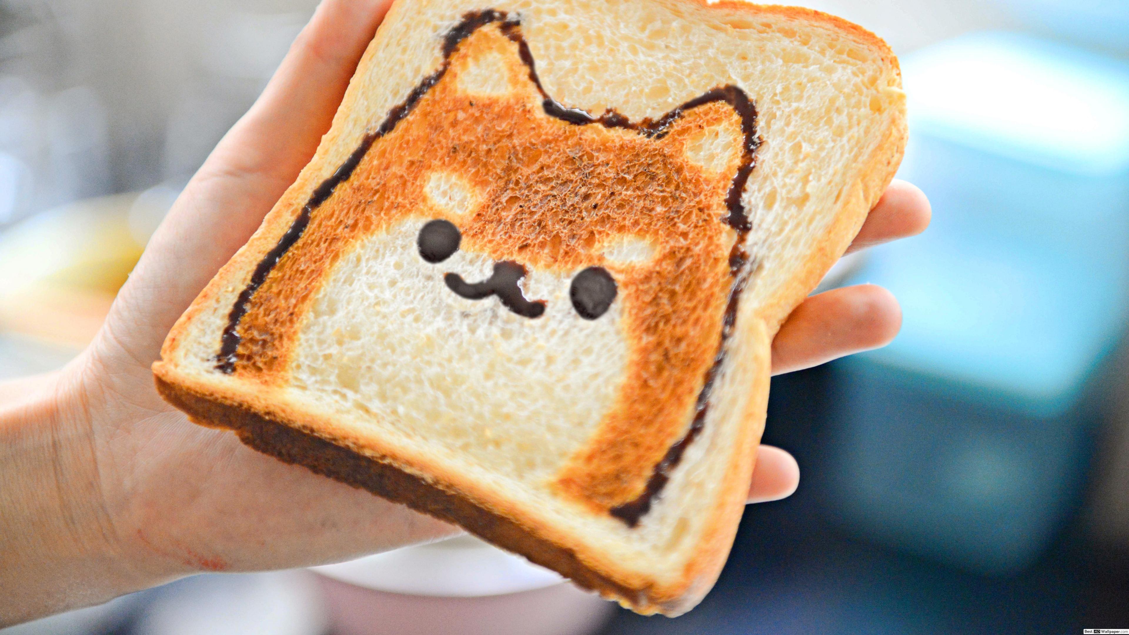 Cute toasted sliced bread with a puppy face art HD wallpaper download