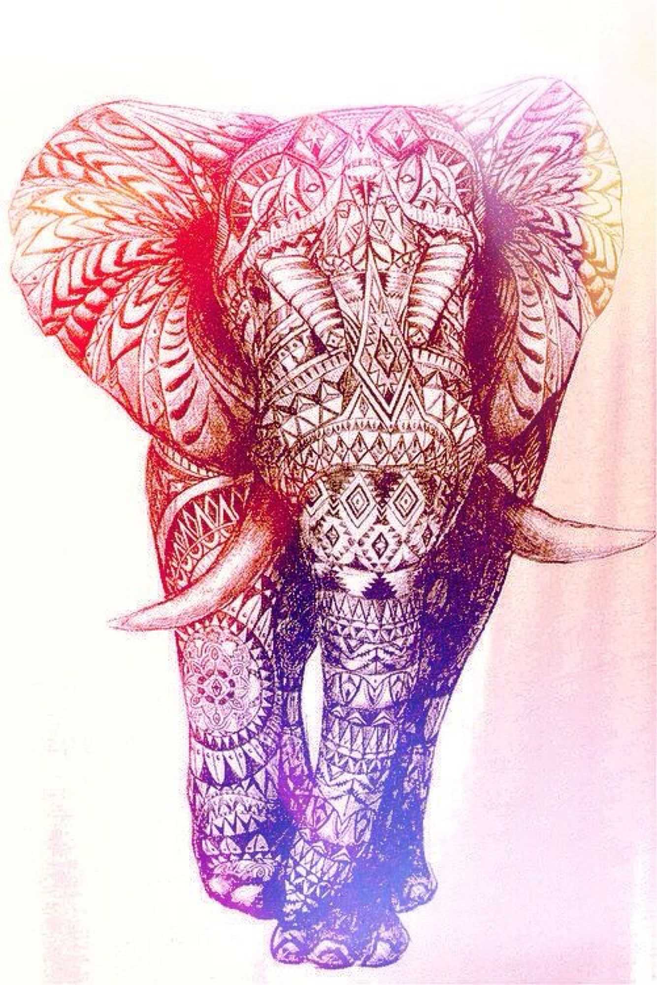 Cute Elephant Wallpaper .kolpaper.com
