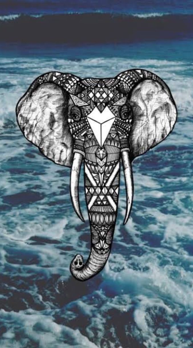 Elephant iPhone Background 25 .wallpaperboat.com